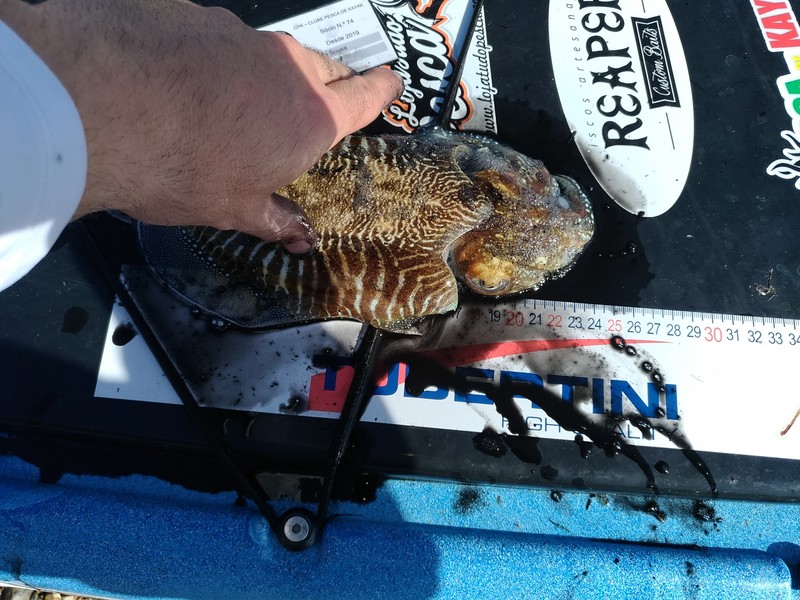 Fish Measure Picture